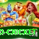 t20 cricket Plus Pro v5.8.4