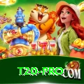 t20 - Casino Gold