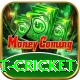 test cricket Pro v2.7.5