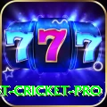 test cricket - Live Prime