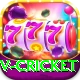 v cricket Premium v3.2.4