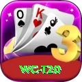 wc t20 Turbo Pro v3.0.7