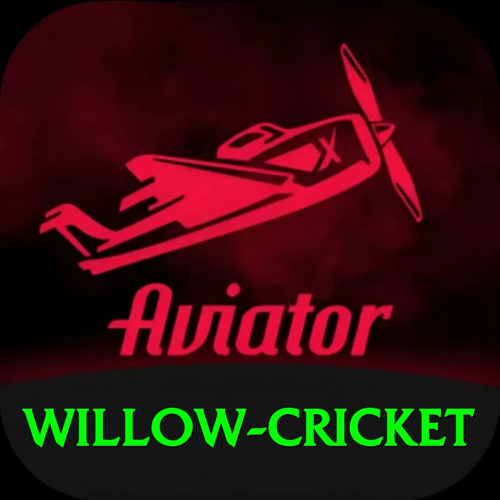willow cricket Deluxe v3.5.9 - 2