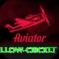 willow cricket Deluxe v3.5.9