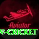 willow cricket Deluxe v3.5.9