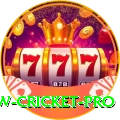 willow cricket Champion PK v4.6.6
