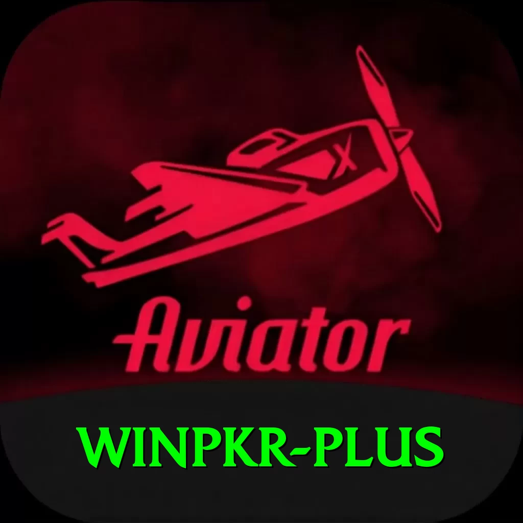 winpkr Pro Edition v4.5.5 - 2