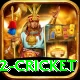 world cup 2022 cricket Deluxe Pro v5.8.1