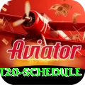 world t20 schedule VIP v2.0.9